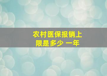 农村医保报销上限是多少 一年